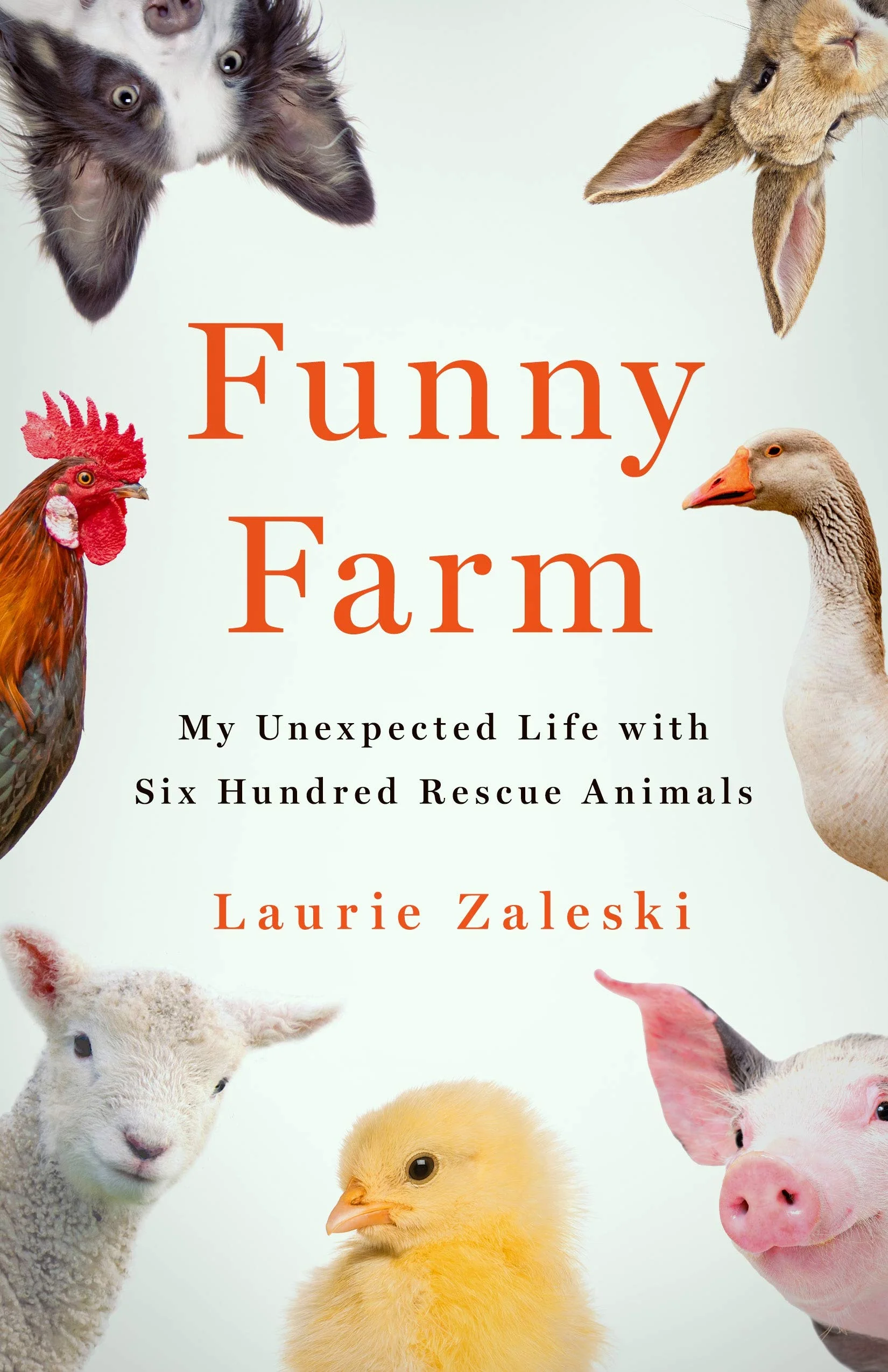 Featured image for Resumen de "Funny Farm: Mi vida inesperada con 600 animales rescatados" por Laurie Zaleski