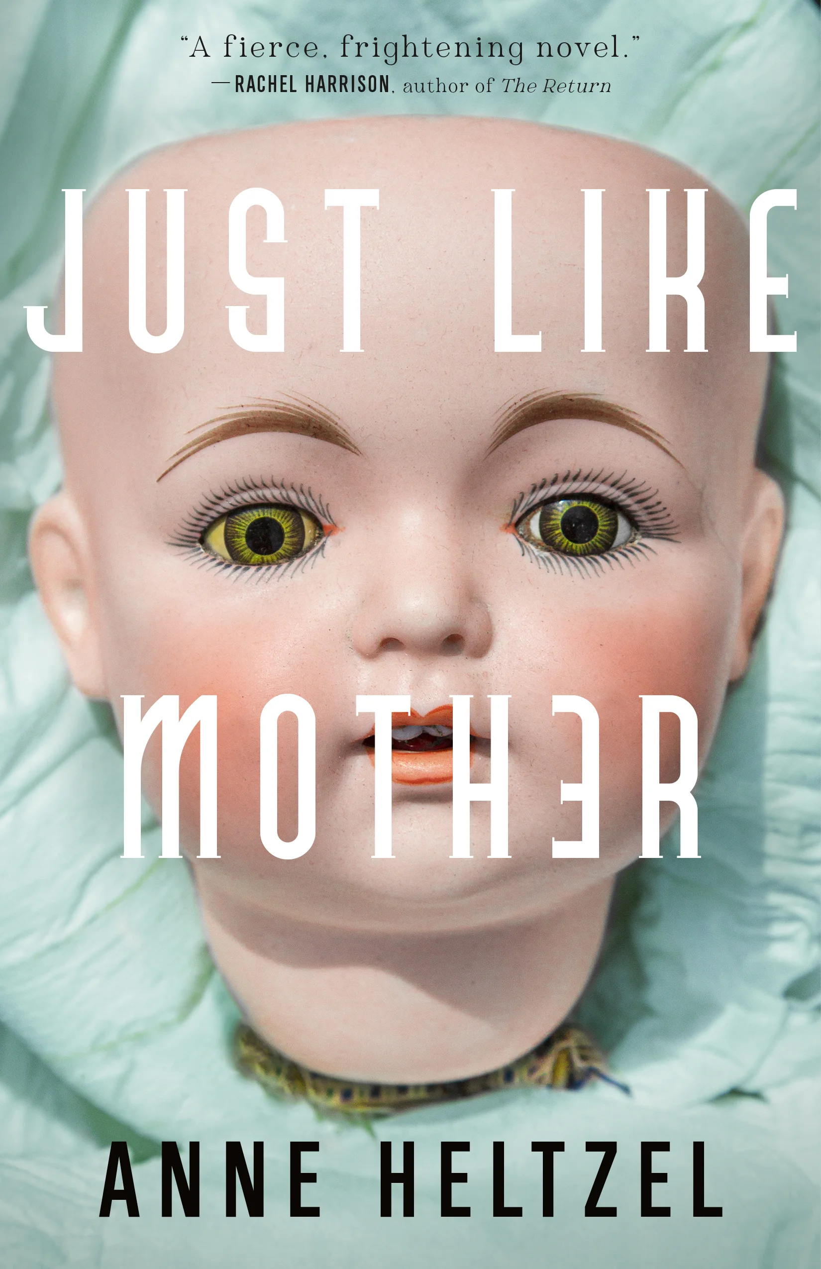 Featured image for Resumen de "Just Like Mother" por Anne Heltzel
