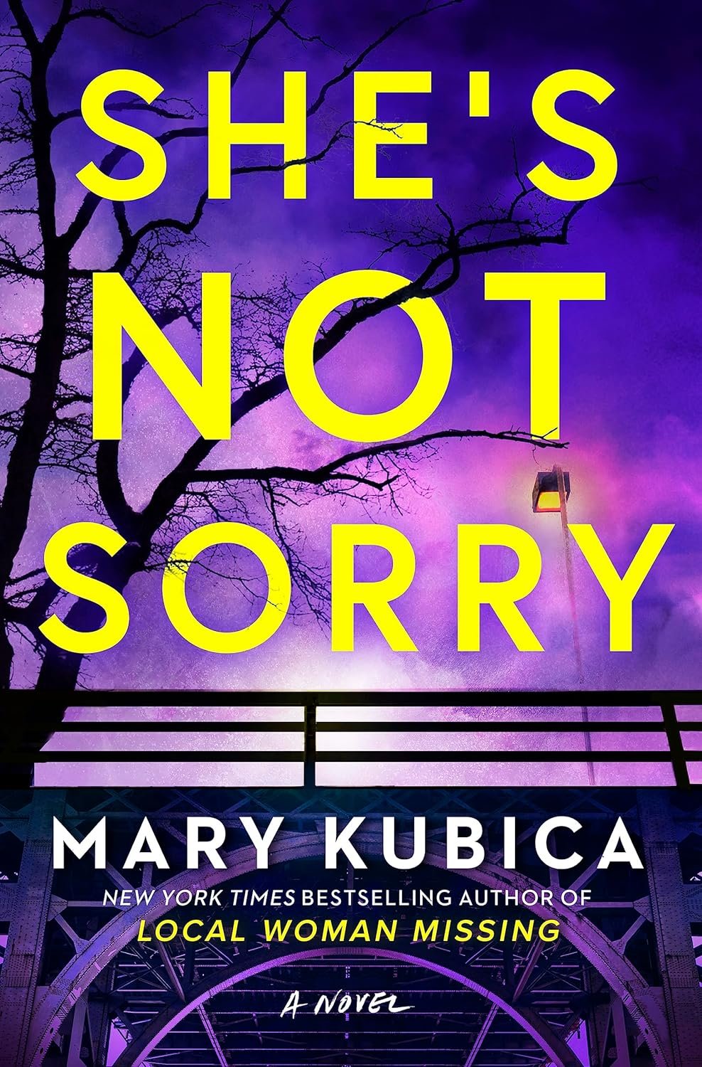 Featured image for Resumen de "She's Not Sorry" por Mary Kubica