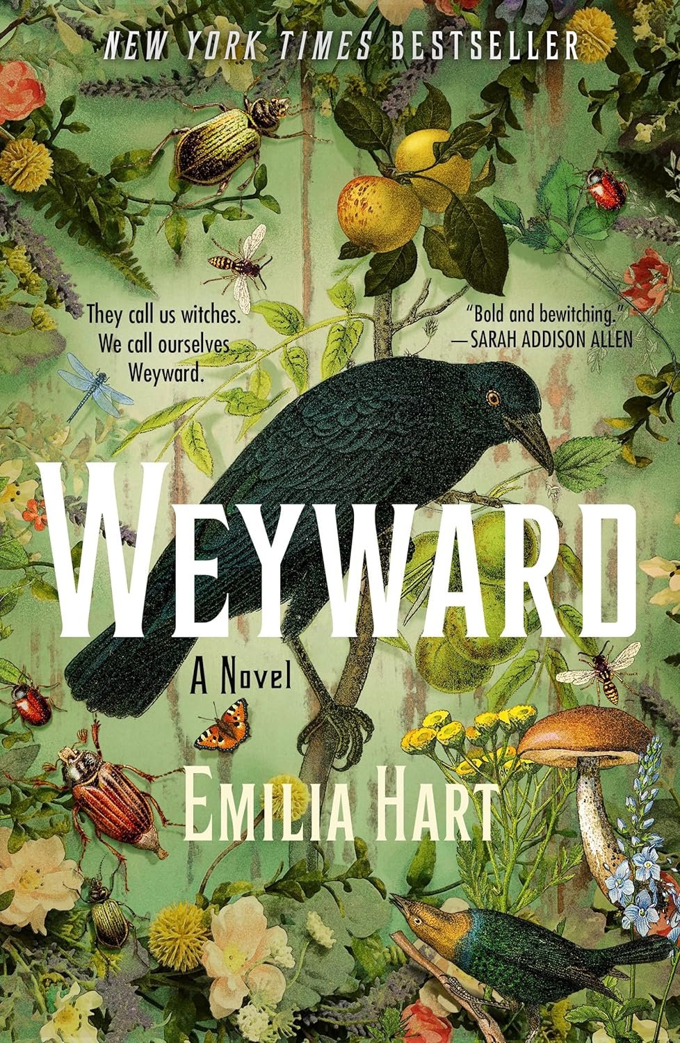 Featured image for Resumen de "Weyward" por Emilia Hart