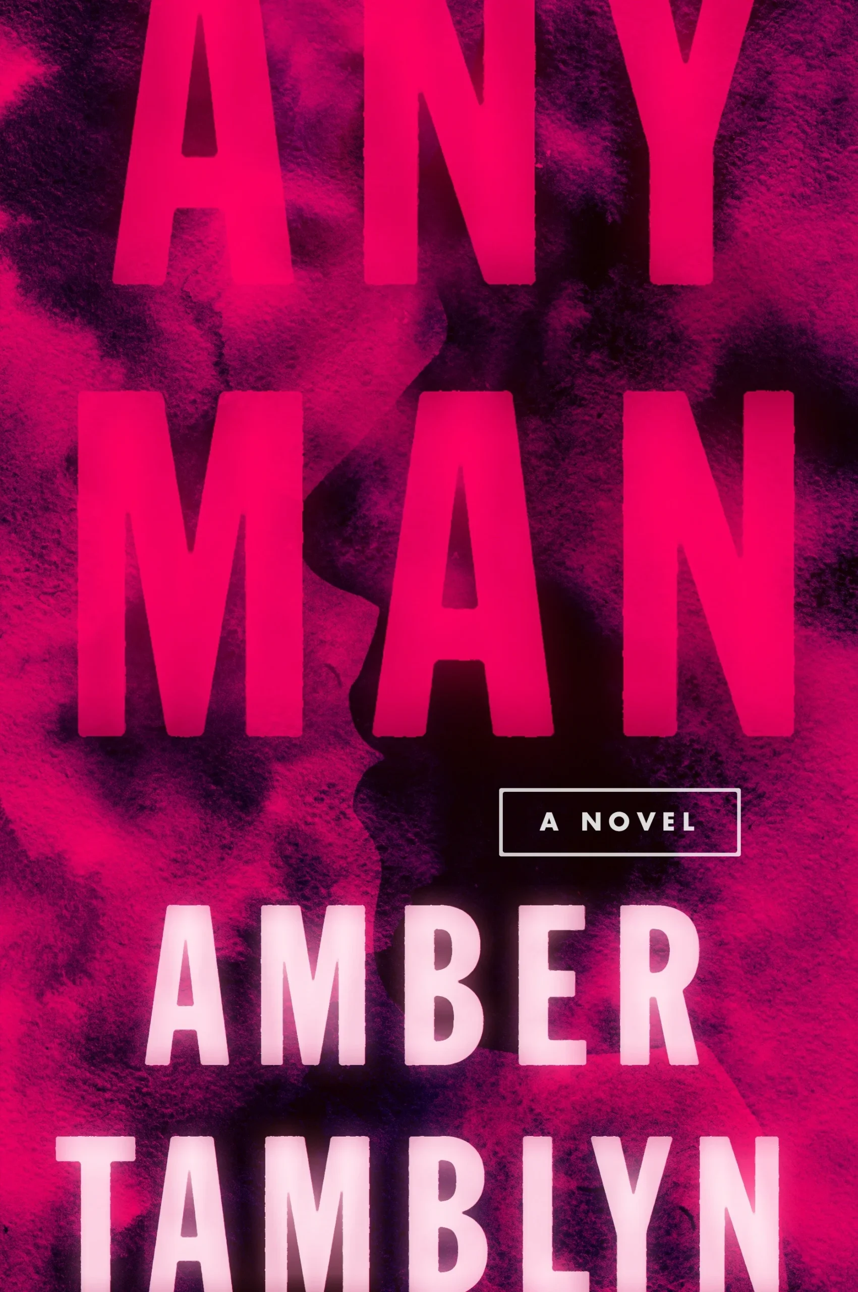 Featured image for Resumen de 'Any Man' por Amber Tamblyn