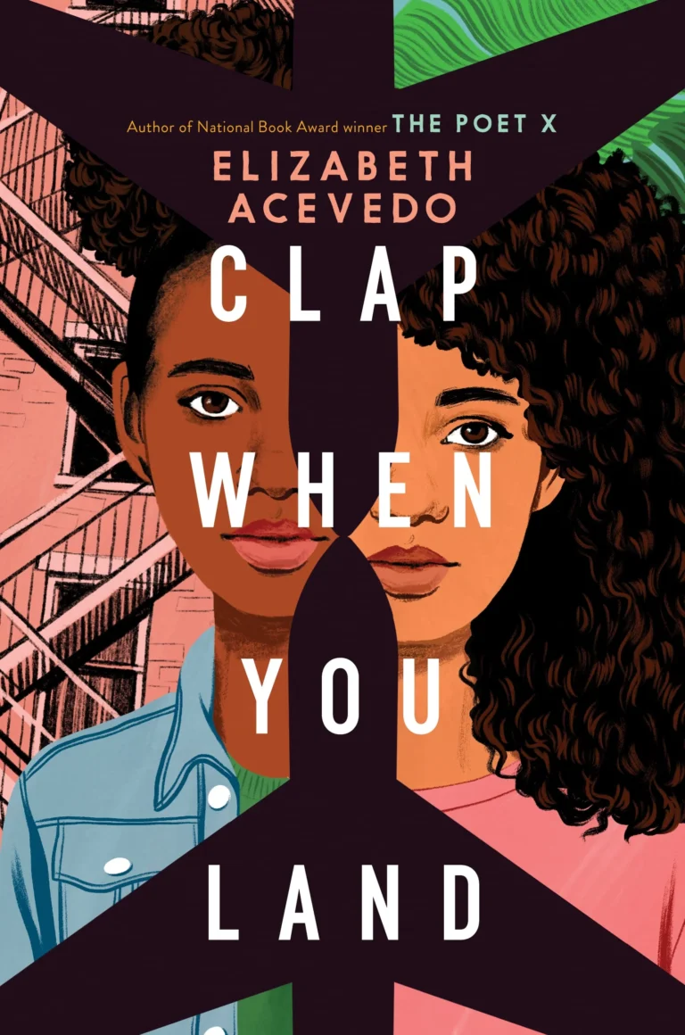 Featured image for Resumen de "Clap When You Land" por Elizabeth Acevedo