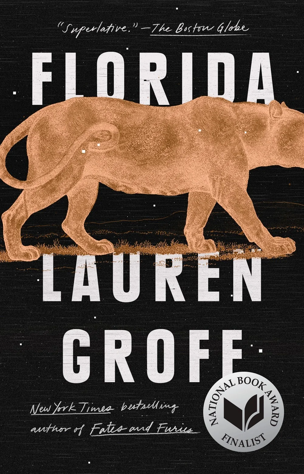 Featured image for Resumen de 'Florida' por Lauren Groff