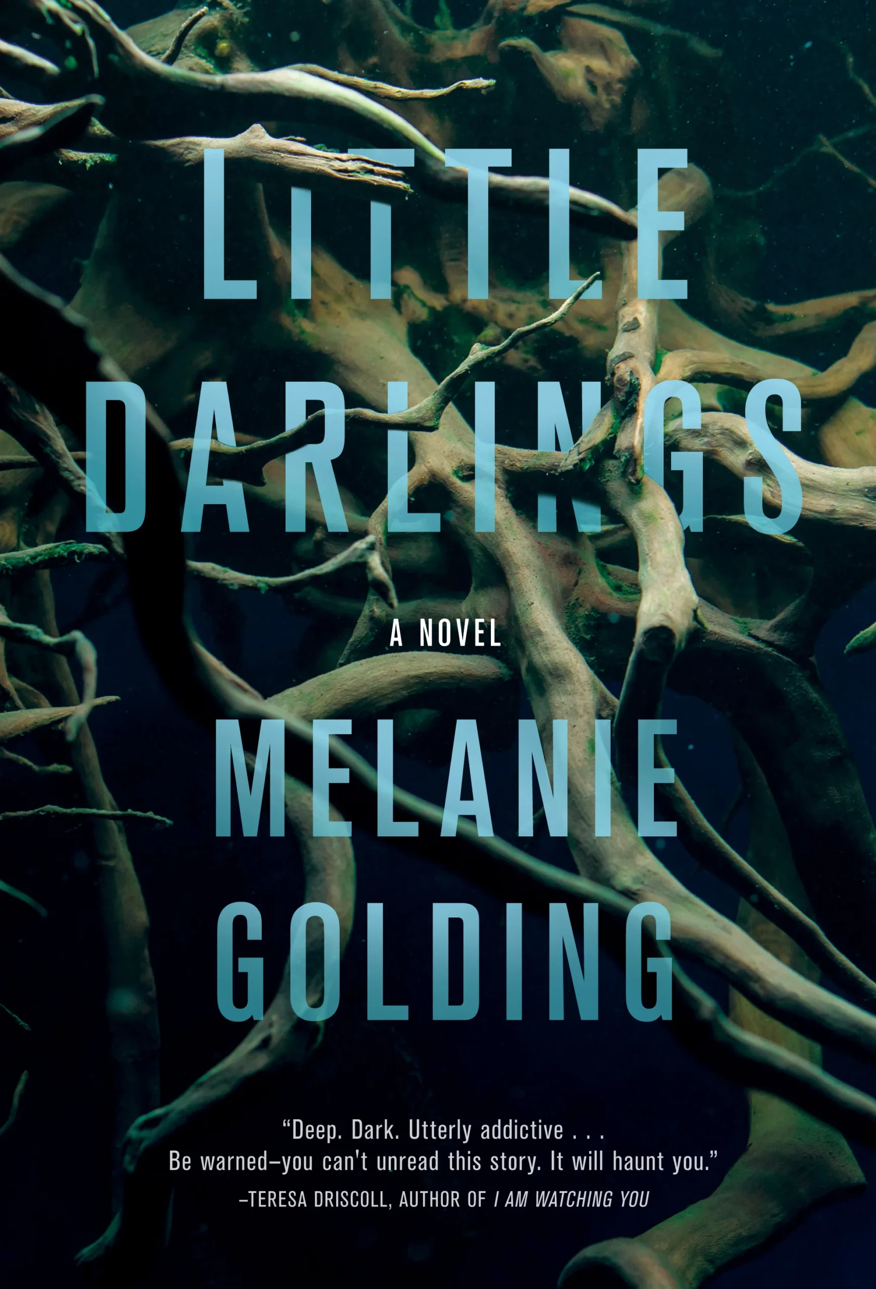 Featured image for Resumen de "Little Darlings" por Melanie Golding