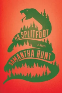 Featured image for Resumen de "Mr. Splitfoot" por Samantha Hunt