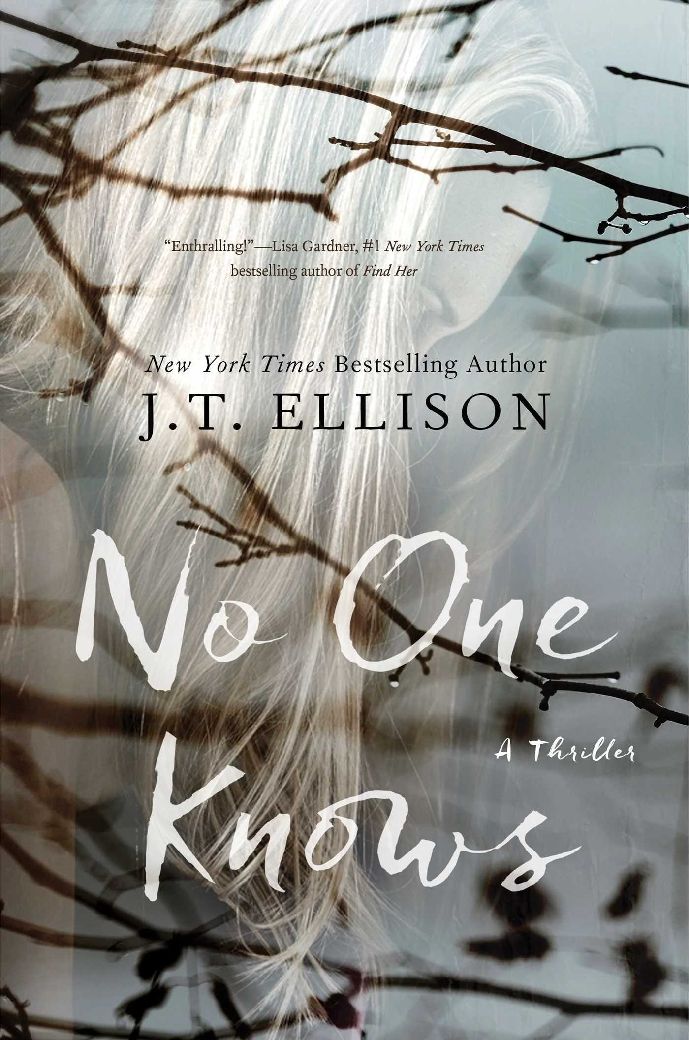Featured image for Resumen de "No One Knows" por J.T. Ellison