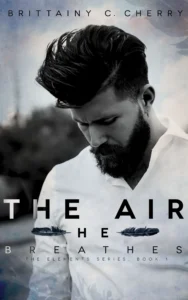 Featured image for Resumen de "El aire que respiro" por Brittainy C. Cherry