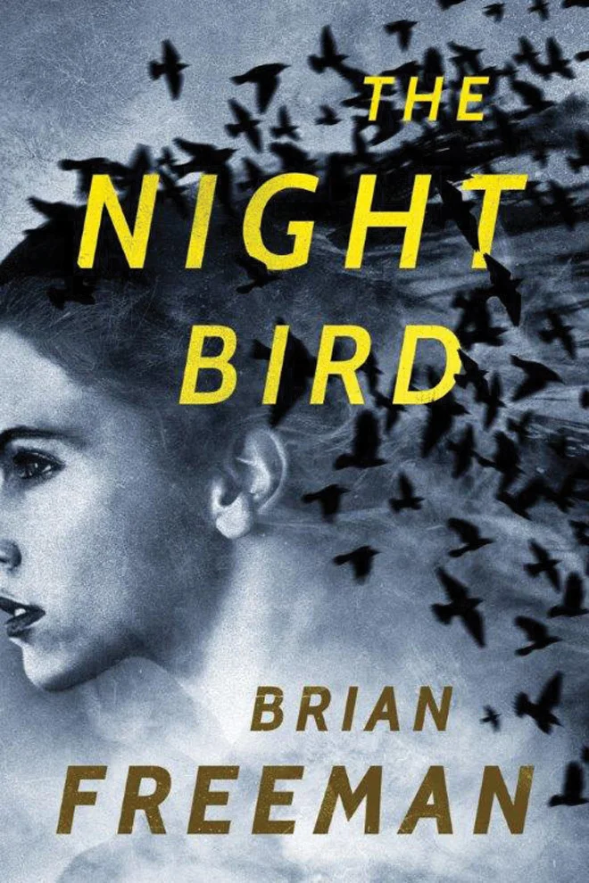 Featured image for Resumen de "El pájaro de la noche" por Brian Freeman