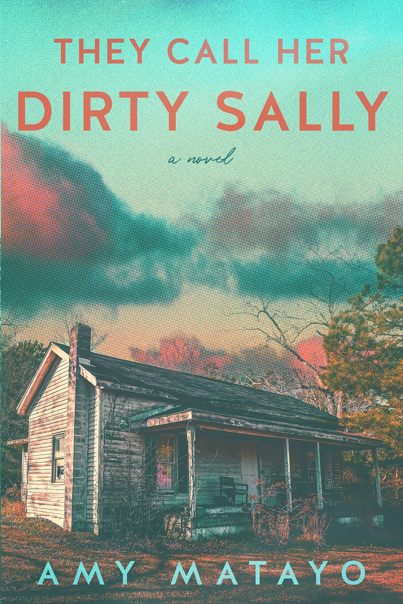 Featured image for Resumen de 'La llaman Sucia Sally' por Amy Matayo
