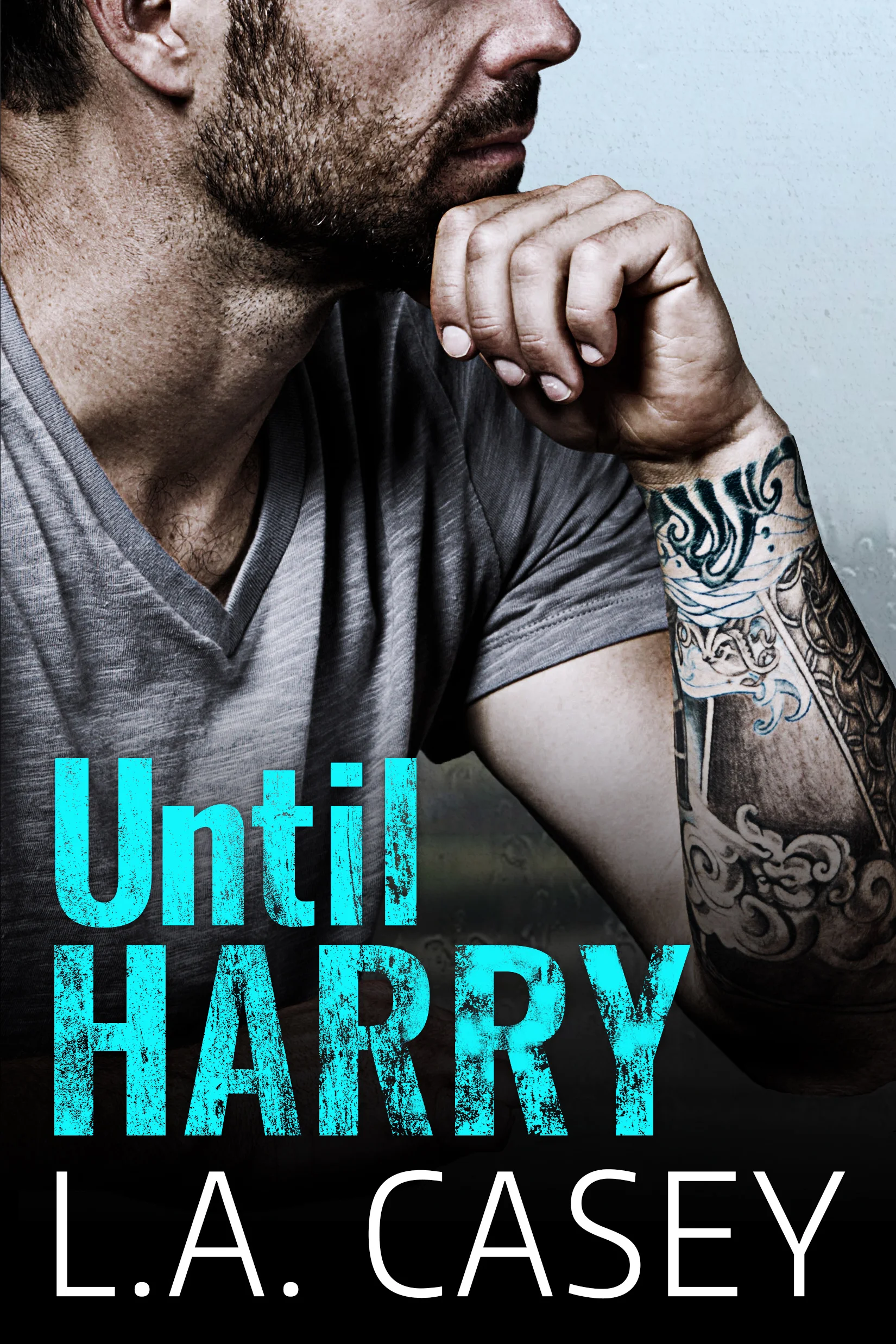 Featured image for Resumen de "Hasta Harry" por L.A. Casey