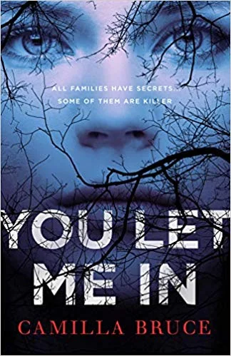 Featured image for Resumen de "You Let Me In" por Camilla Bruce