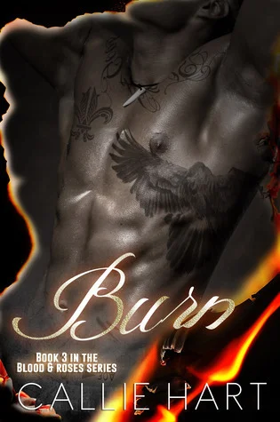 Featured image for Resumen de 'Burn' por Callie Hart