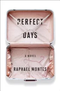 Featured image for Resumen de "Días Perfectos" por Raphael Montes