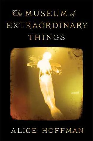 Featured image for Resumen de "El museo de las cosas extraordinarias" por Alice Hoffman