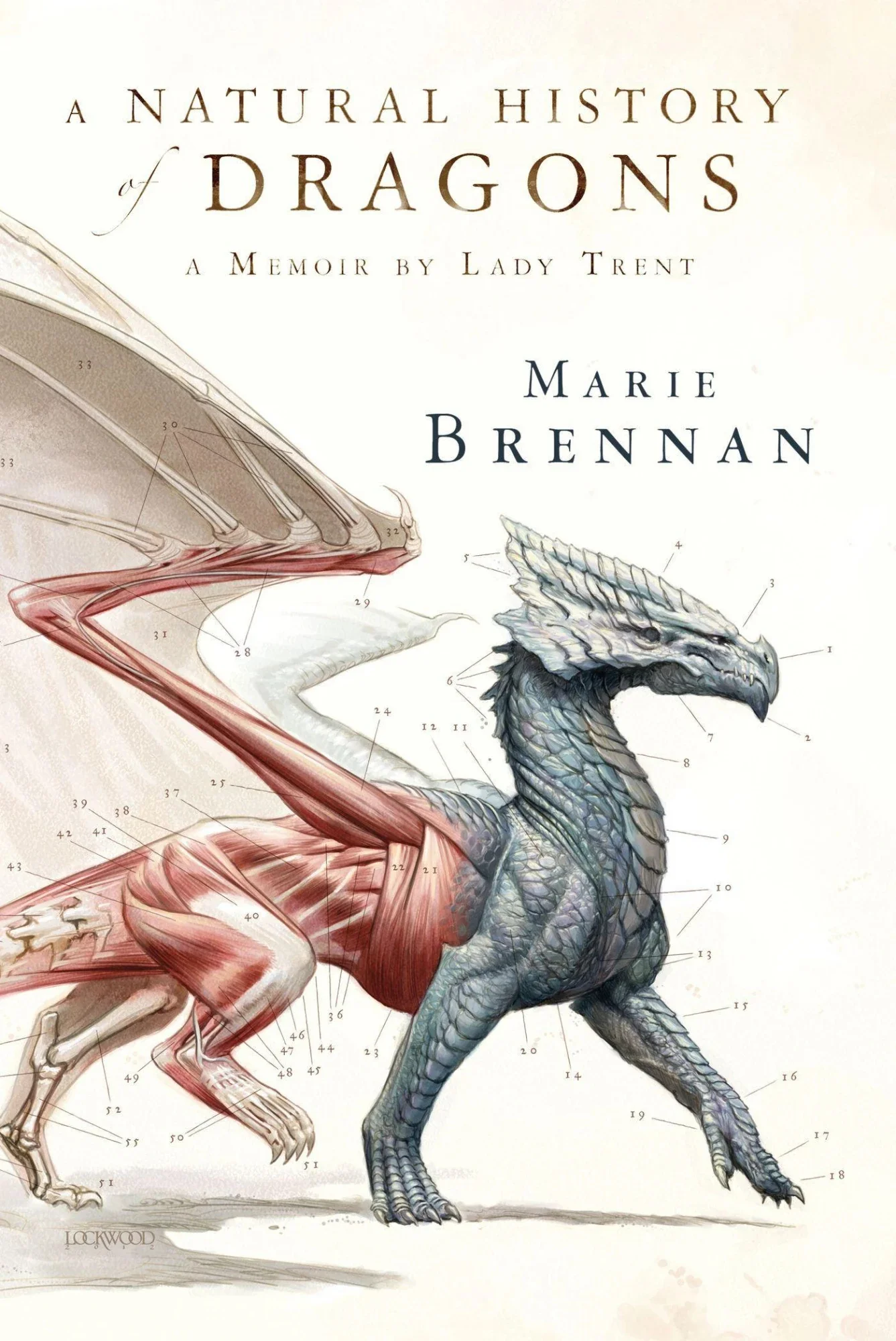Featured image for Resumen de "Una historia natural de dragones" por Marie Brennan
