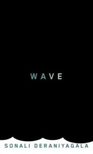Featured image for Resumen de "Wave" por Sonali Deraniyagala