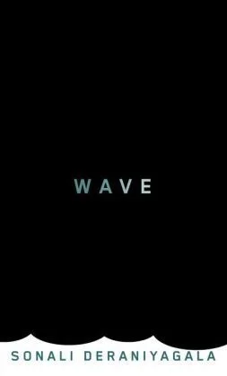Featured image for Resumen de "Wave" por Sonali Deraniyagala