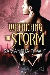 Featured image for Resumen de "Wethering the Storm" por Samantha Towle