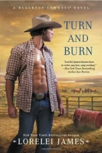 Featured image for Resumen de "Turn and Burn" por Lorelei James