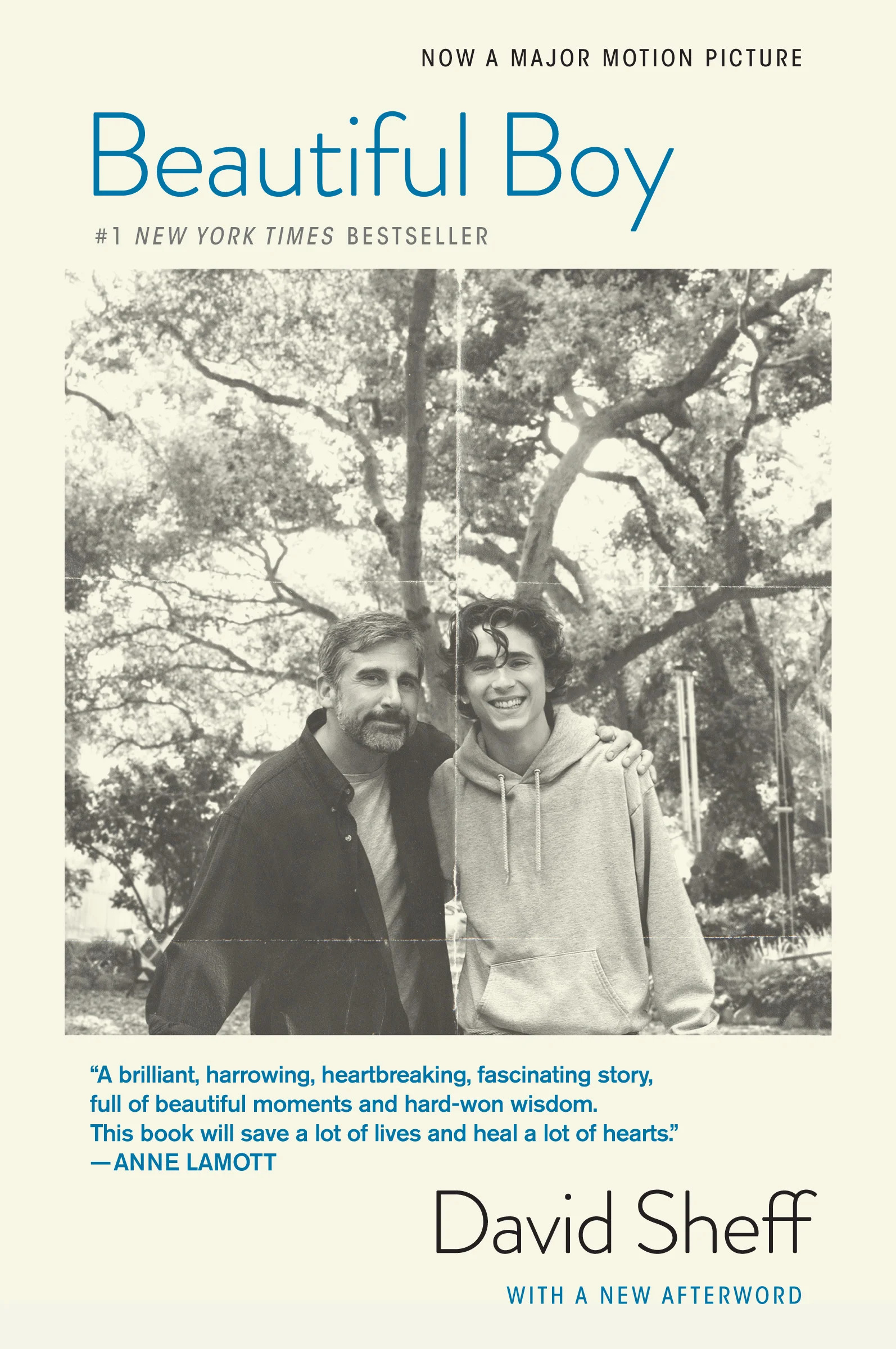 Featured image for Resumen de "Chico bello: el viaje de un padre a través de la adicción de su hijo" por David Sheff