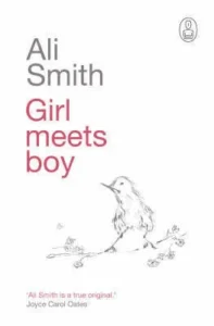 Featured image for Resumen de 'Chica conoce a chico' por Ali Smith