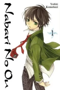 Featured image for Resumen de 'Nabari No Ou, Vol. 1' por Yuhki Kamatani