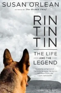 Featured image for Resumen de 'Rin Tin Tin: La vida y la leyenda' por Susan Orlean