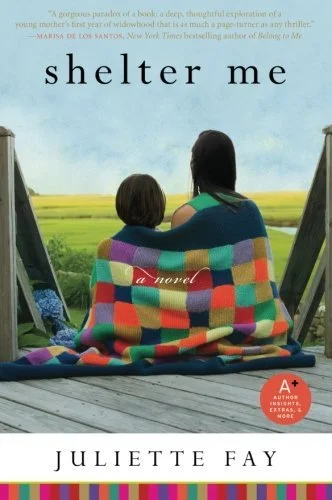 Featured image for Resumen de "Shelter Me" por Juliette Fay