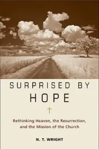 Featured image for Resumen de 'Sorprendidos por la esperanza' por N.T. Wright