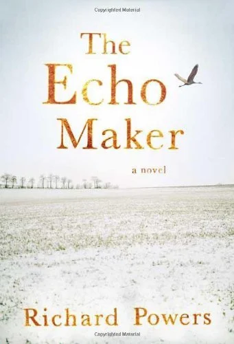 Featured image for Resumen de "El eco maker" por Richard Powers