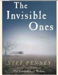 Featured image for Resumen de 'Los invisibles' por Stef Penney