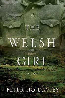 Featured image for Resumen de 'La chica galesa' por Peter Ho Davies