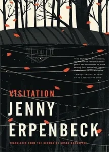 Featured image for Resumen de "Visita" por Jenny Erpenbeck