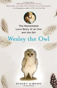 Featured image for Resumen de 'Wesley el búho' por Stacey O'Brien