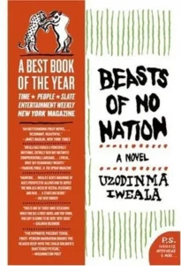 Featured image for Resumen de "Bestias sin nación" por Uzodinma Iweala