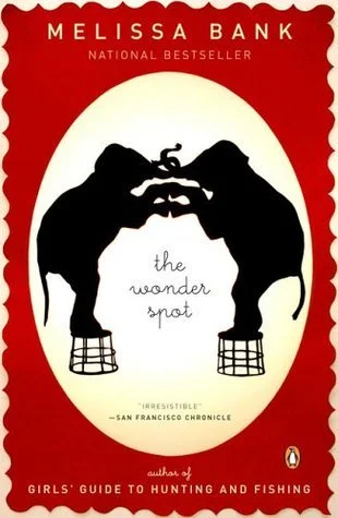 Featured image for Resumen de "The Wonder Spot" por Melissa Bank